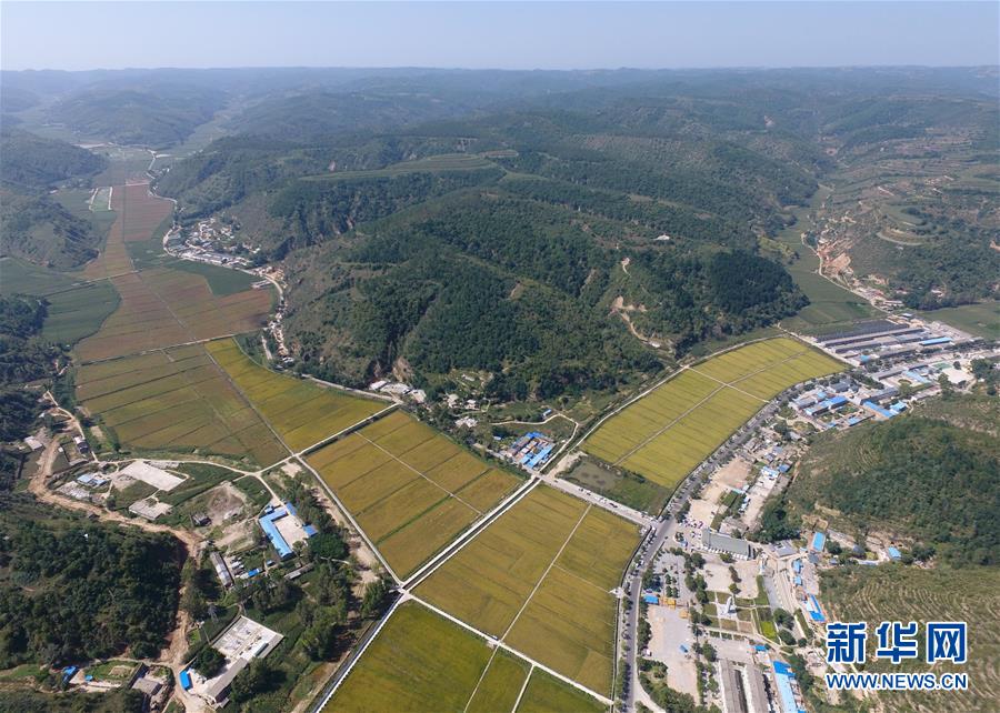 (圖文互動(dòng))(1)荒土換青山 林海淘真金——延安退耕還林20載造就綠色奇跡