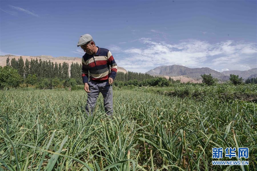 （決戰(zhàn)決勝脫貧攻堅(jiān)·圖文互動）（6）記者手記：尋訪昆侖“桃花源”的“祛病”良方