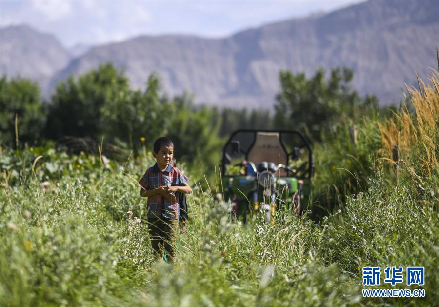 （決戰(zhàn)決勝脫貧攻堅(jiān)·圖文互動）（5）記者手記：尋訪昆侖“桃花源”的“祛病”良方