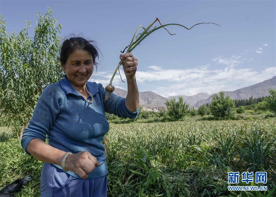 （決戰(zhàn)決勝脫貧攻堅(jiān)·圖文互動）（1）記者手記：尋訪昆侖“桃花源”的“祛病”良方