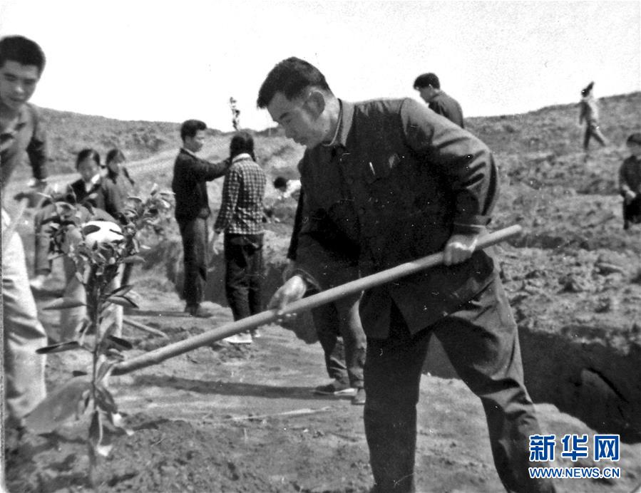 (紅土地“往事新說”·圖文互動(dòng))(1)昔日房前“一棵苗” 今朝引來橙滿枝