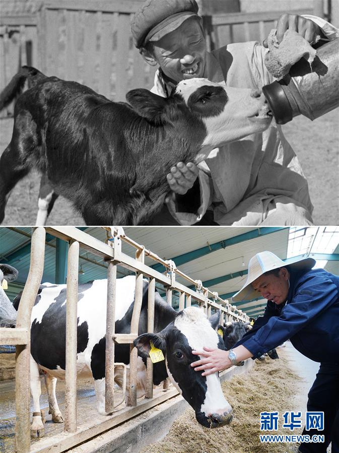 (壯麗70年·奮斗新時代)(8)70年時光流影 70行見證發(fā)展