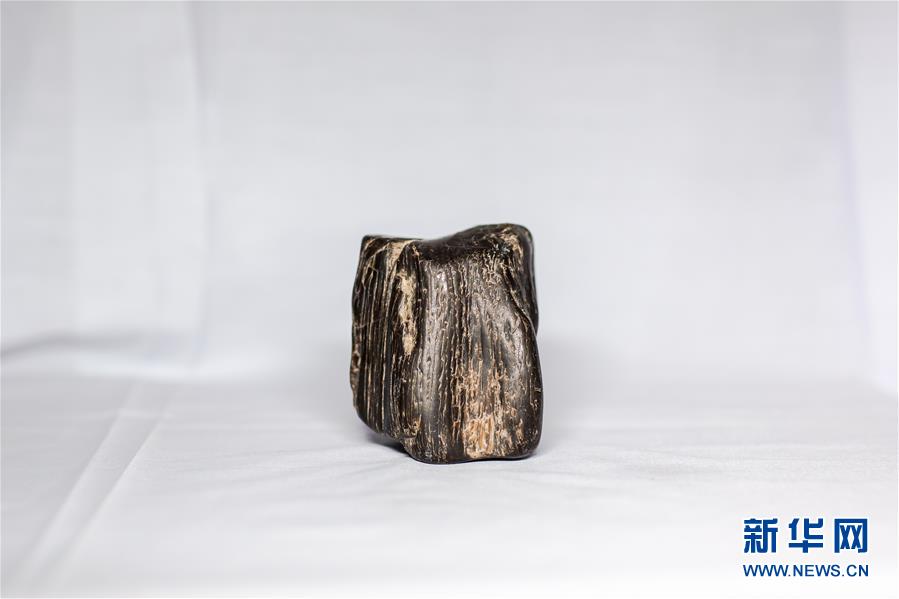 (圖文互動(dòng))(5)黑龍江海倫發(fā)現(xiàn)罕見古生物群