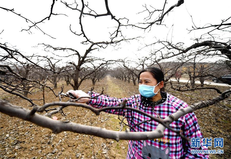 （聚焦疫情防控&middot;圖文互動(dòng)）（3）農(nóng)民工返城：幾多憧憬幾許等待&mdash;&mdash;走進(jìn)疫情下的河北勞務(wù)輸出專業(yè)村