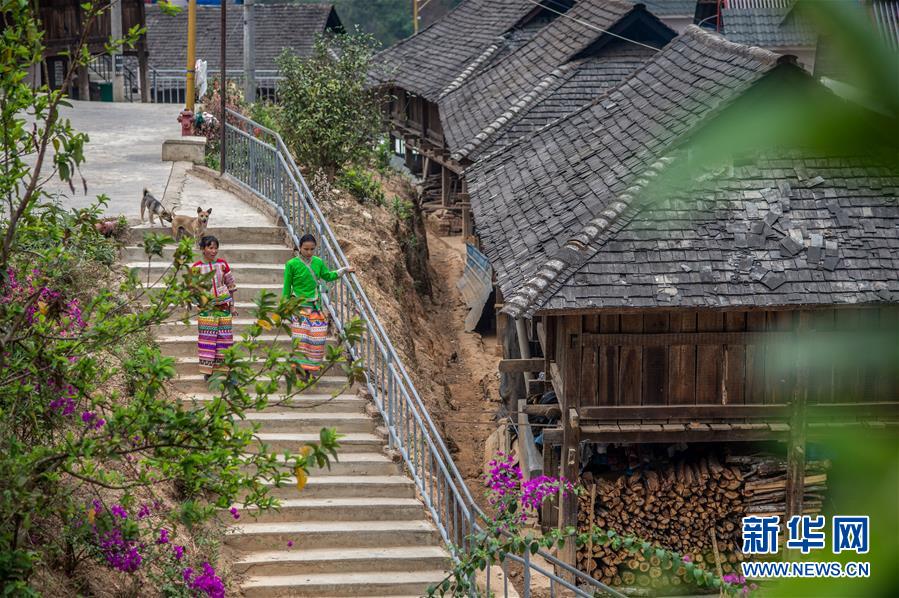 (決戰(zhàn)決勝脫貧攻堅(jiān)·圖文互動(dòng))(2)“孩子再也不用學(xué)打獵了”——拉祜族女獵手告別狩獵