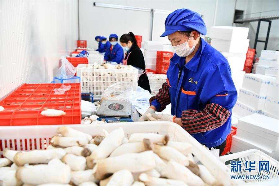 （決戰(zhàn)決勝脫貧攻堅(jiān)&middot;圖文互動）（2）補(bǔ)短板 促就業(yè) 穩(wěn)增收&mdash;&mdash;貴州向脫貧&ldquo;硬骨頭&rdquo;發(fā)起總攻