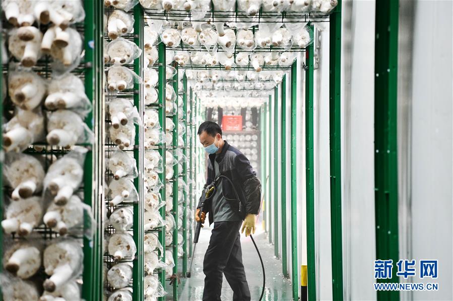 （決戰(zhàn)決勝脫貧攻堅(jiān)&middot;圖文互動）（3）補(bǔ)短板 促就業(yè) 穩(wěn)增收&mdash;&mdash;貴州向脫貧&ldquo;硬骨頭&rdquo;發(fā)起總攻