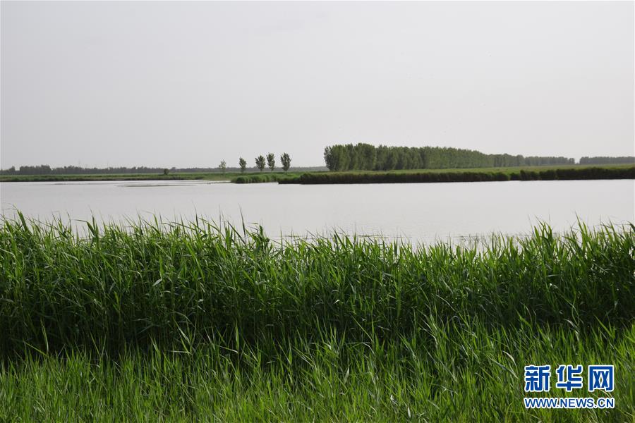 (圖文互動)(2)巡護(hù)員鏡頭下的“京津綠肺”變身記