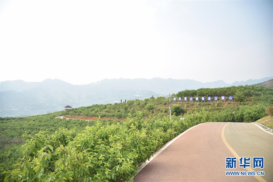 (決戰(zhàn)決勝脫貧攻堅(jiān)·圖文互動(dòng))(2)烏蒙山農(nóng)民的笑臉——貴州脫貧攻堅(jiān)一線采訪隨筆