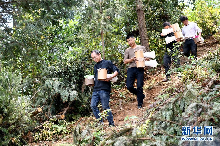 (決戰(zhàn)決勝脫貧攻堅(jiān)·圖文互動(dòng))(1)“小蜂王”的大夢(mèng)想