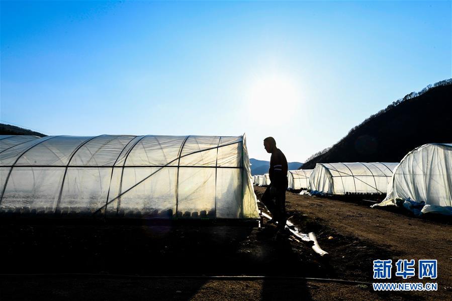 (決戰(zhàn)決勝脫貧攻堅(jiān)·圖文互動(dòng))(10)長(zhǎng)白山下唱新篇——吉林延邊州脫貧攻堅(jiān)觀(guān)察