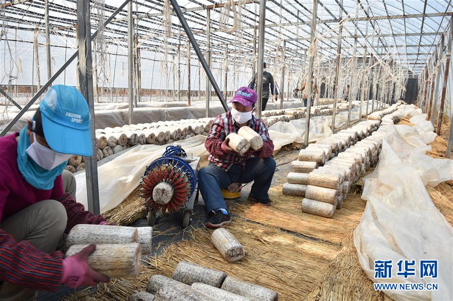 (決戰(zhàn)決勝脫貧攻堅(jiān)·圖文互動(dòng))(4)長(zhǎng)白山下唱新篇——吉林延邊州脫貧攻堅(jiān)觀(guān)察