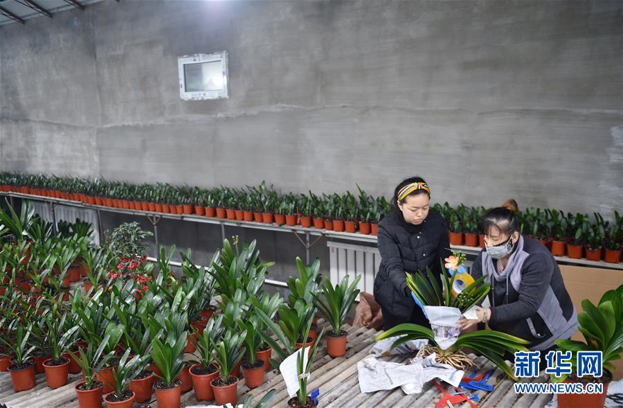 (決戰(zhàn)決勝脫貧攻堅(jiān)·圖文互動(dòng))(11)長(zhǎng)白山下唱新篇——吉林延邊州脫貧攻堅(jiān)觀(guān)察