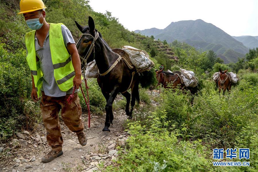 (圖文互動(dòng))(4)北京:治沙20載 逾854萬畝林海拒風(fēng)沙