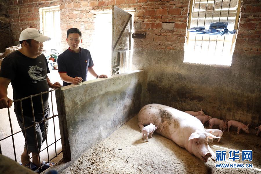 （新華全媒頭條&middot;圖文互動）（1）基層天地廣闊 青春大有作為&mdash;&mdash;聚焦&ldquo;三支一扶&rdquo;計劃實施十五年
