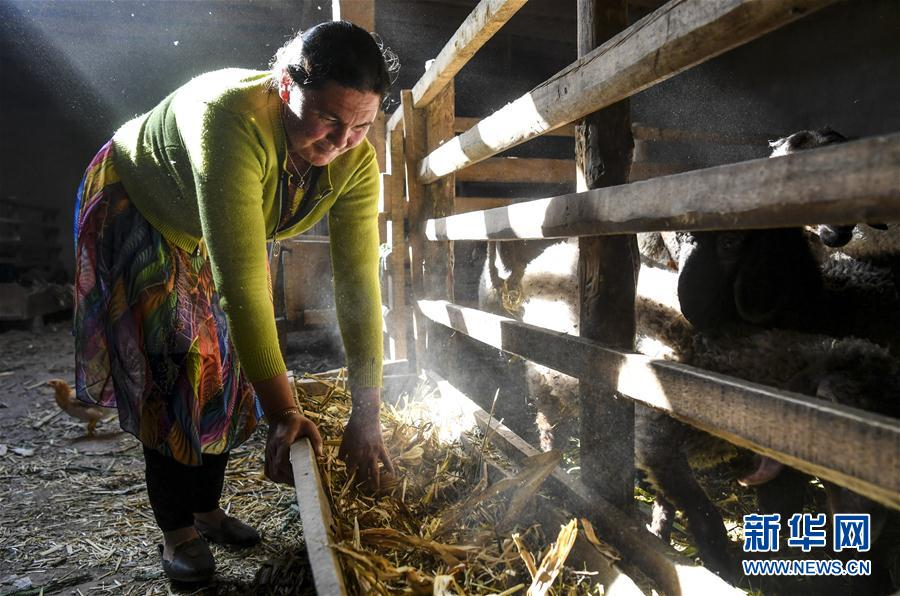 (圖文互動)(7)“沙漠高地”的美好家園