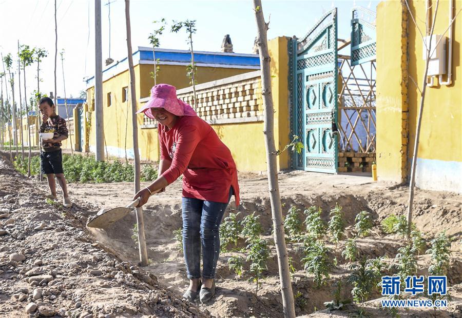 (圖文互動)(8)“沙漠高地”的美好家園