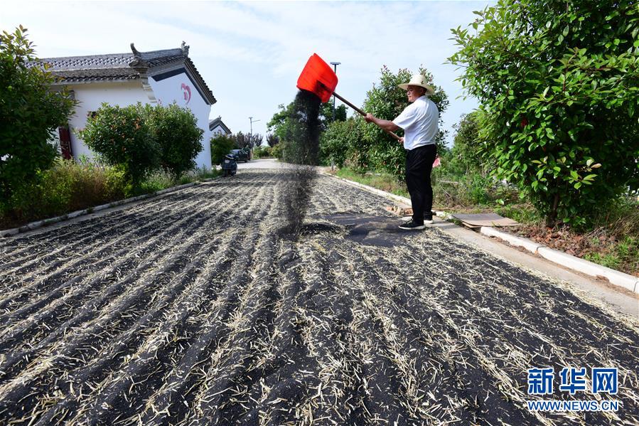 (決戰(zhàn)決勝脫貧攻堅·圖文互動)(1)貧困戶老楊的人生“三級跳”