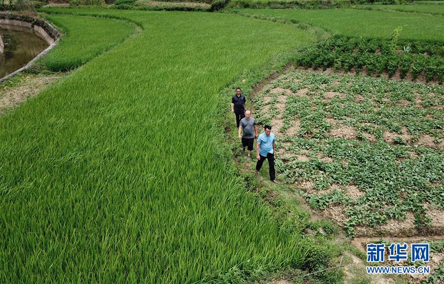 （圖文互動）（6）湘南深山，堅守扶貧一線的黨員之家