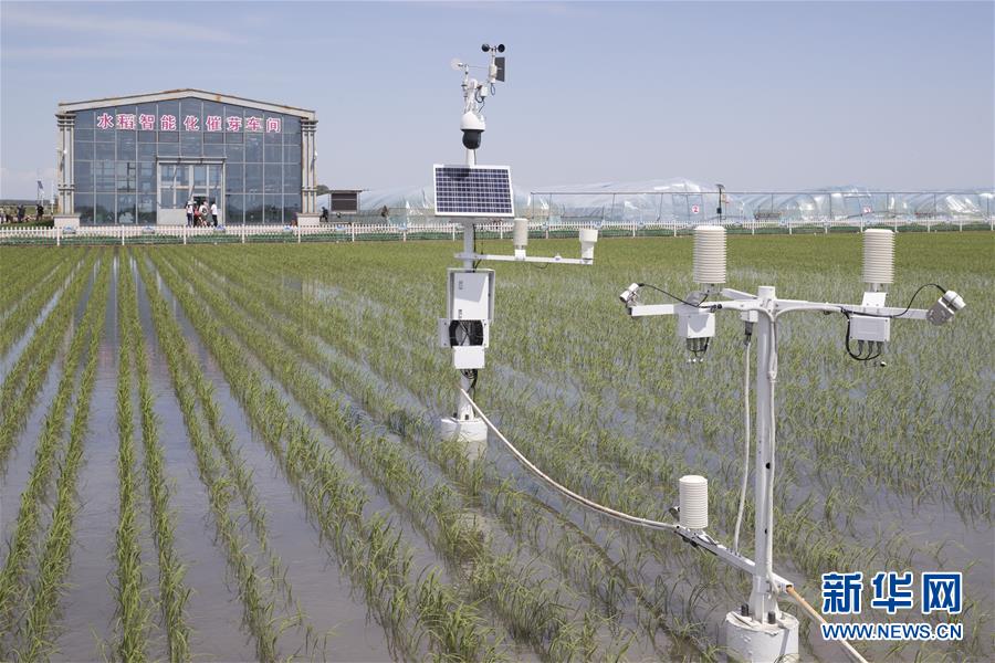 (走向我們的小康生活·圖文互動(dòng))(4)端牢“中國(guó)飯碗” 播種綠色小康