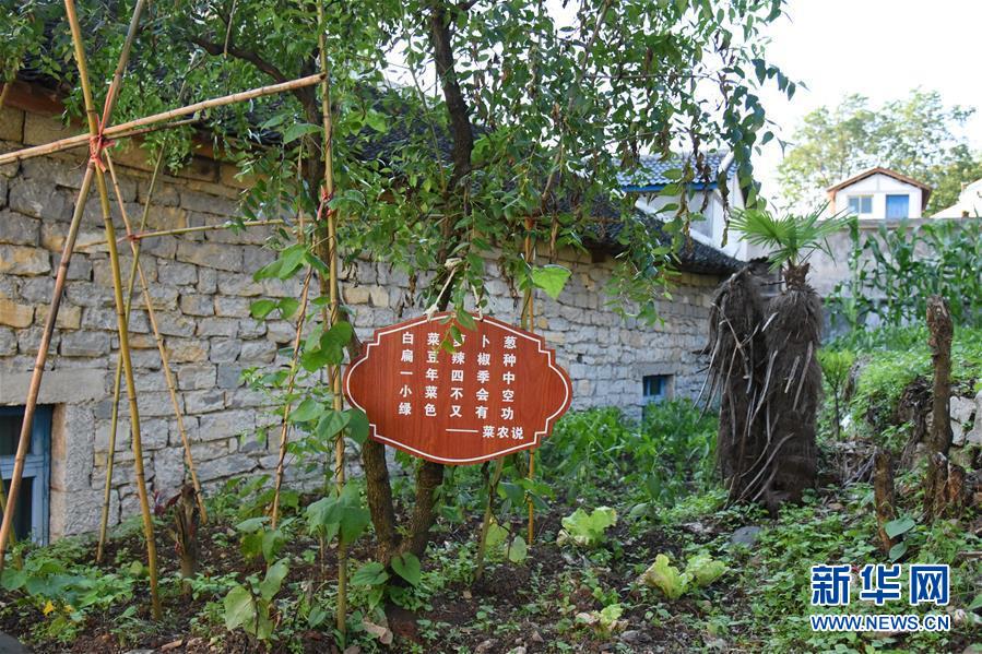 (鄉(xiāng)村振興·圖文互動(dòng))(6)海壩成“畫(huà)”