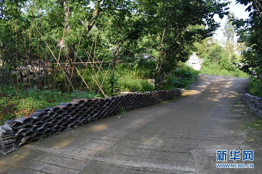 (鄉(xiāng)村振興·圖文互動(dòng))(2)海壩成“畫(huà)”