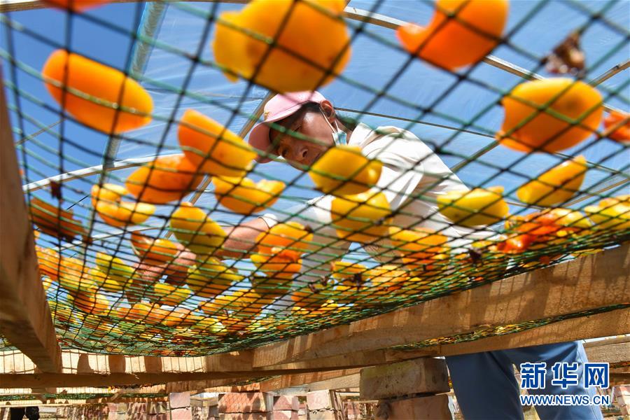 (決戰(zhàn)決勝脫貧攻堅(jiān)·圖文互動(dòng))(1)新疆“杏鄉(xiāng)”:杏果飄香 走出深閨助脫貧