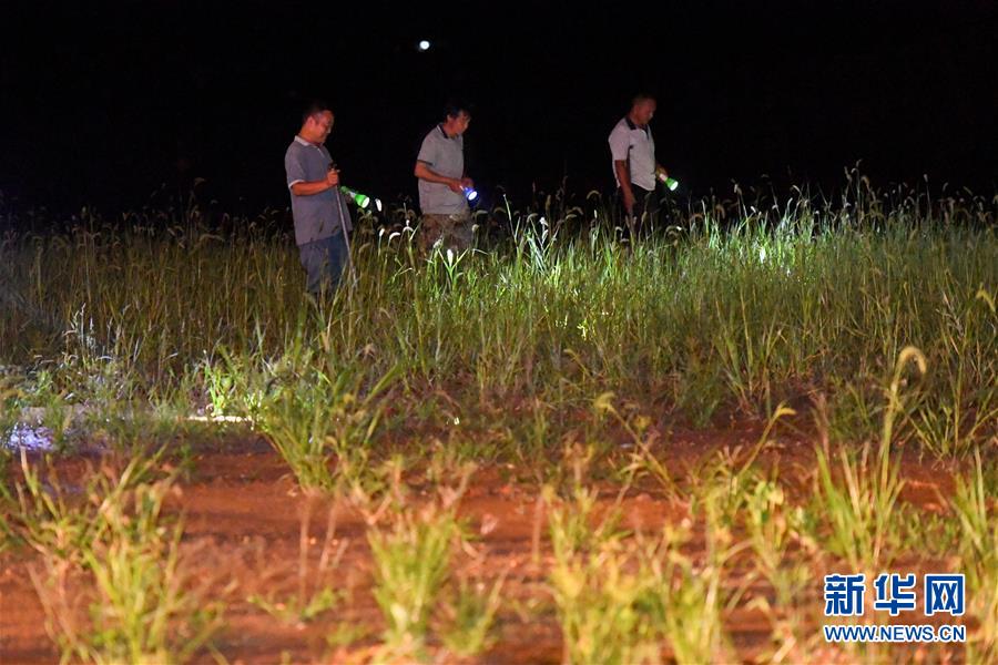 （防汛抗洪&middot;圖文互動(dòng)）（2）&ldquo;保衛(wèi)家園，誰都不能是旁觀者&rdquo;&mdash;&mdash;夜訪洞庭湖大堤防汛一線