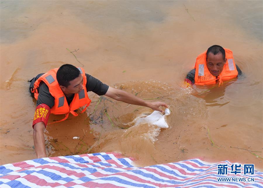 (防汛抗洪·圖文互動(dòng))(2)抗洪長(zhǎng)堤上的“三件寶”