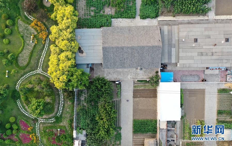 (新華全媒頭條·走向我們的小康生活·圖文互動)(1)“南大荒”變“稻蟹鄉(xiāng)”——資源枯竭型城市盤錦的鄉(xiāng)村振興之路