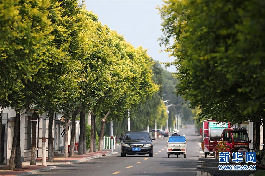 (新華全媒頭條·走向我們的小康生活·圖文互動)(3)“南大荒”變“稻蟹鄉(xiāng)”——資源枯竭型城市盤錦的鄉(xiāng)村振興之路