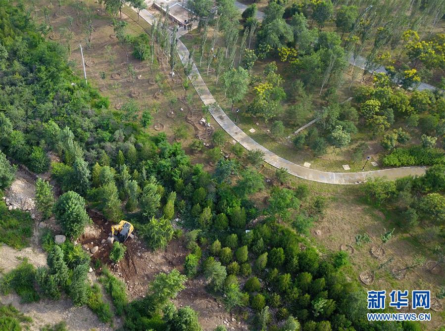 （新華全媒頭條·圖文互動）（15）扎實推進籌辦，不負青春韶華——北京冬奧會籌辦備戰(zhàn)克服疫情影響平穩(wěn)推進