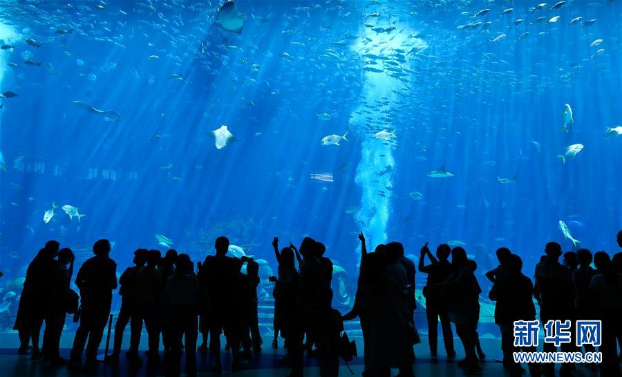 (在習(xí)近平新時(shí)代中國(guó)特色社會(huì)主義思想指引下——新時(shí)代新作為新篇章·習(xí)近平總書記關(guān)切事·圖文互動(dòng))(9)感受開(kāi)放新魅力——海南自由貿(mào)易港建設(shè)開(kāi)局觀察