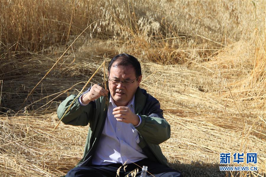 (新時(shí)代擔(dān)當(dāng)作為典型·圖文互動(dòng))(1)草地生態(tài)專家趙新全:情深不舍三江源