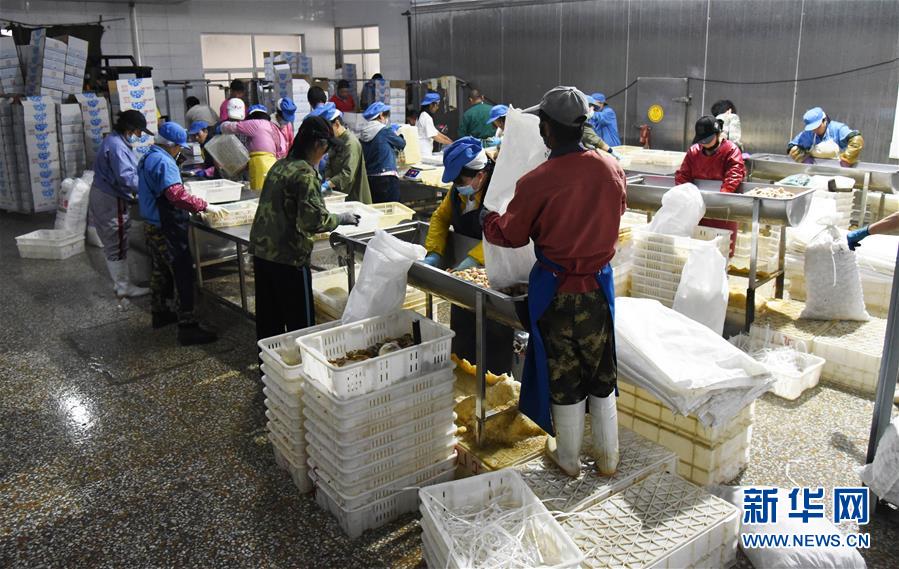 (新華全媒頭條·走向我們的小康生活·圖文互動)(3)幸福小康入畫來——齊魯大地描繪小康新畫卷