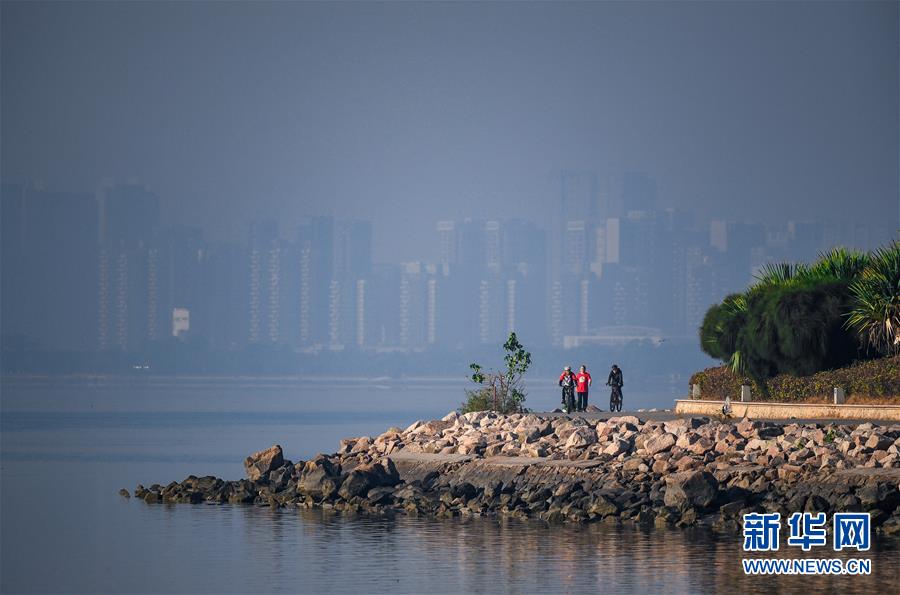 (新華全媒頭條·圖文互動)(10)鯤鵬展翅九萬里——深圳奮力跑好建設(shè)中國特色社會主義先行示范區(qū)“第一程”