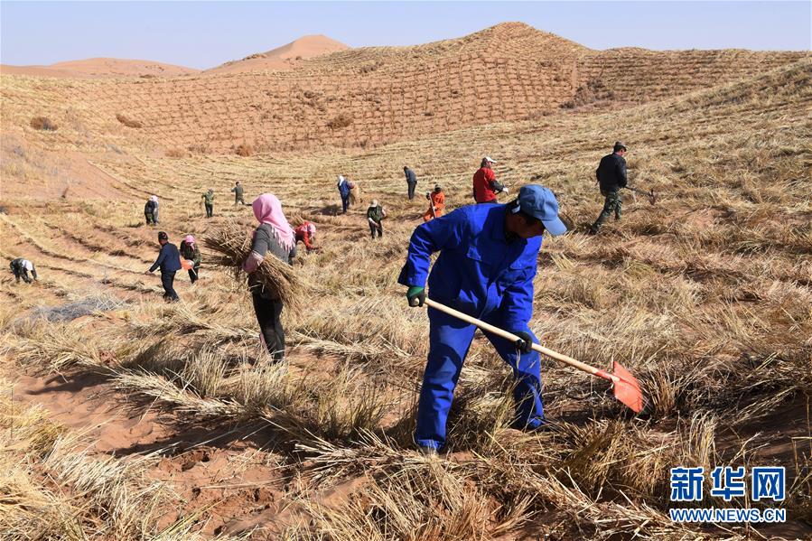 （新華全媒頭條·走向我們的小康生活·圖文互動(dòng)）（6）“苦甲”不再，“甘味”綿長(zhǎng)——脫貧攻堅(jiān)的甘肅味道