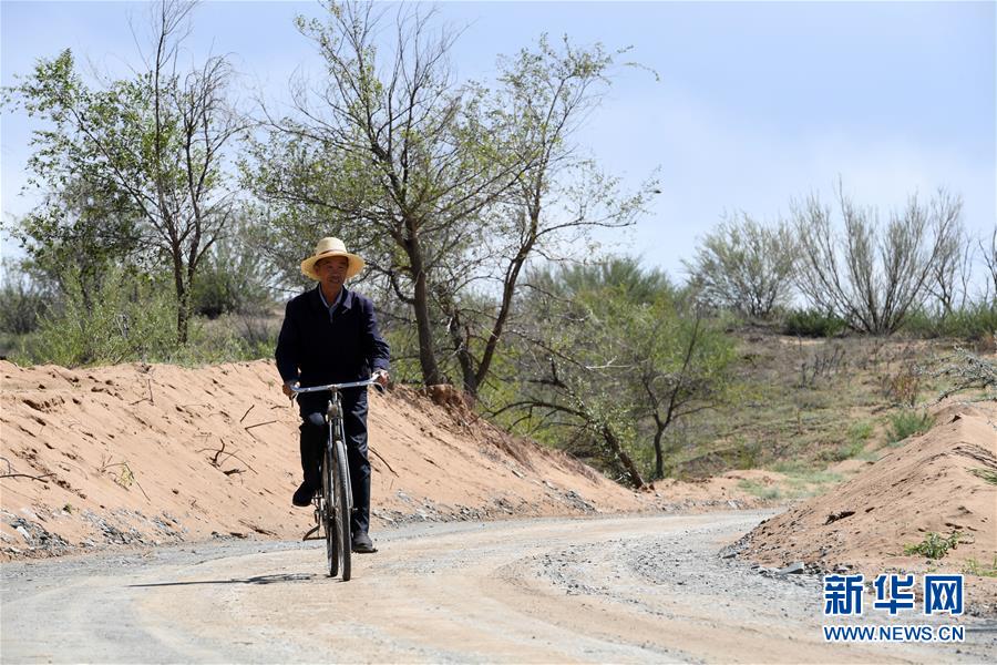 （新華全媒頭條·走向我們的小康生活·圖文互動(dòng)）（7）“苦甲”不再，“甘味”綿長(zhǎng)——脫貧攻堅(jiān)的甘肅味道