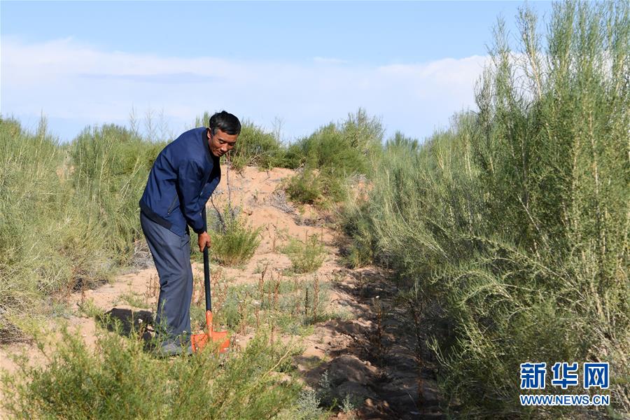 （新華全媒頭條·走向我們的小康生活·圖文互動(dòng)）（8）“苦甲”不再，“甘味”綿長(zhǎng)——脫貧攻堅(jiān)的甘肅味道