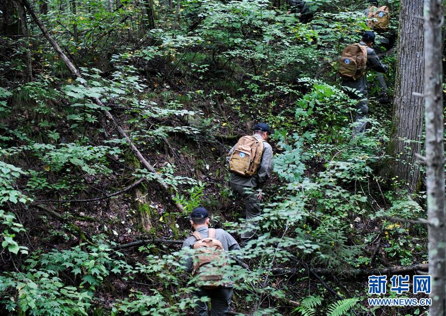 (圖文互動)(2)長白山60年書寫“生態(tài)答卷”