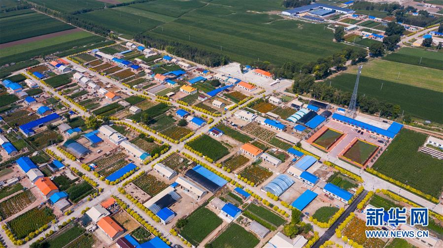 （新華全媒頭條·走向我們的小康生活·圖文互動）（1）黑土地上是我家——在吉林，一瞥中國東北鄉(xiāng)村美麗未來