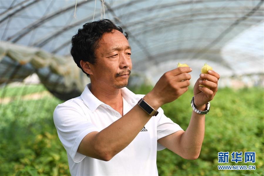 （新華全媒頭條·走向我們的小康生活·圖文互動）（7）黑土地上是我家——在吉林，一瞥中國東北鄉(xiāng)村美麗未來