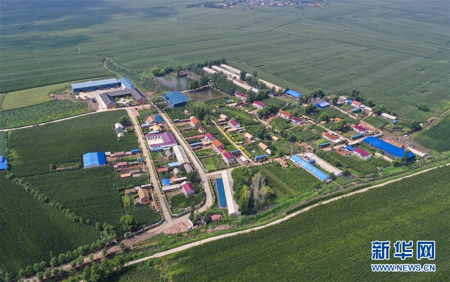（新華全媒頭條·走向我們的小康生活·圖文互動）（12）黑土地上是我家——在吉林，一瞥中國東北鄉(xiāng)村美麗未來