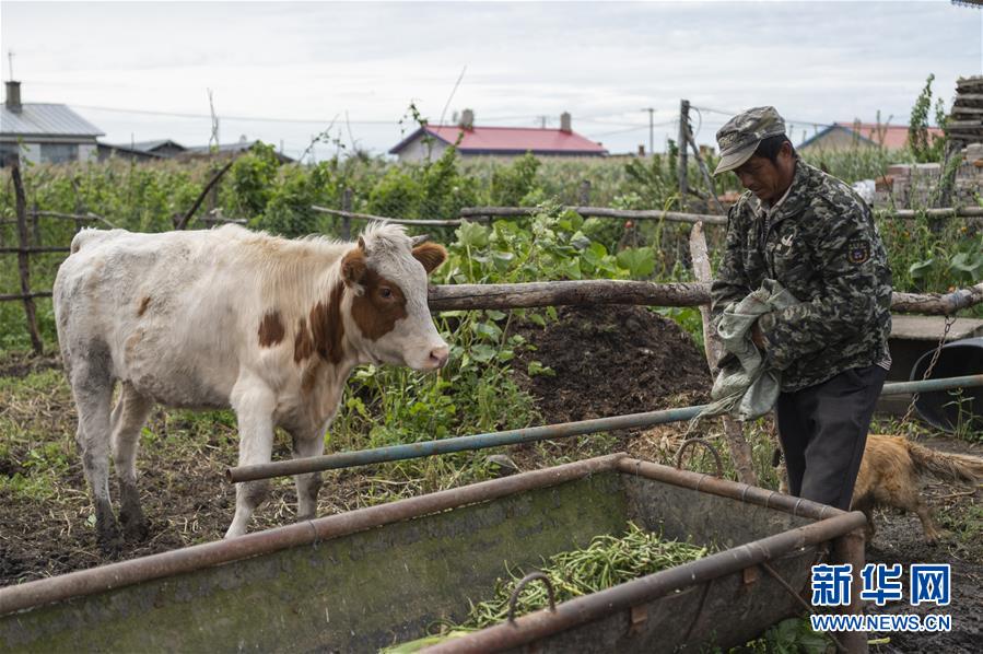 (決戰(zhàn)決勝脫貧攻堅(jiān)·圖文互動)(2)團(tuán)結(jié)村的李輝新傳