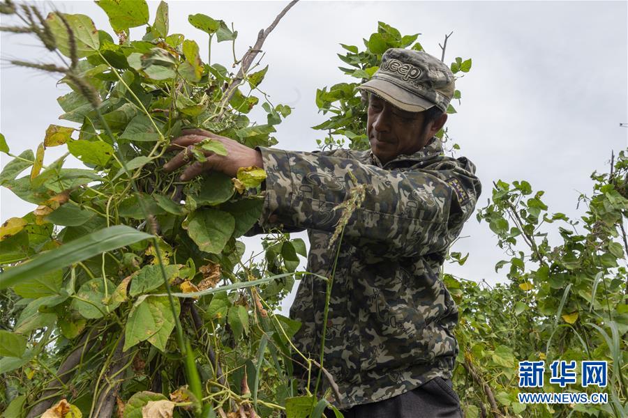 (決戰(zhàn)決勝脫貧攻堅(jiān)·圖文互動)(3)團(tuán)結(jié)村的李輝新傳
