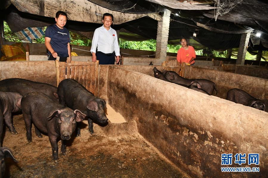(新華全媒頭條·決戰(zhàn)決勝脫貧攻堅·督戰(zhàn)未摘帽貧困縣·圖文互動)(9)把“最能打的人”放在最需要的地方——聚焦貴州未脫貧縣里的“助攻干部”