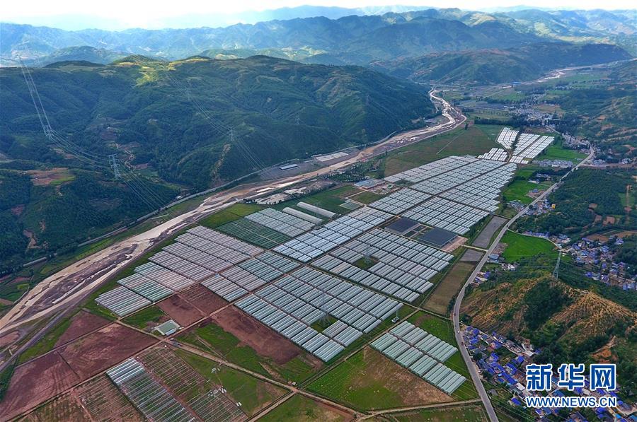 (走向我們的小康生活·決戰(zhàn)決勝脫貧攻堅(jiān)·圖文互動)(2)把產(chǎn)業(yè)興盛之“根”扎進(jìn)大涼山