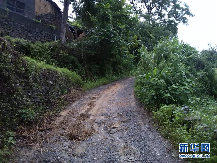 (集中連片特困地區(qū)貧困村調(diào)研行·圖文互動)(3)百果園里幸福長——湖南鳳凰縣菖蒲塘村脫貧調(diào)查