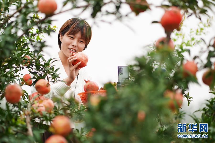 (新華全媒頭條·圖文互動)(12)流動中國折射復(fù)蘇新氣象——透視“十一”黃金周