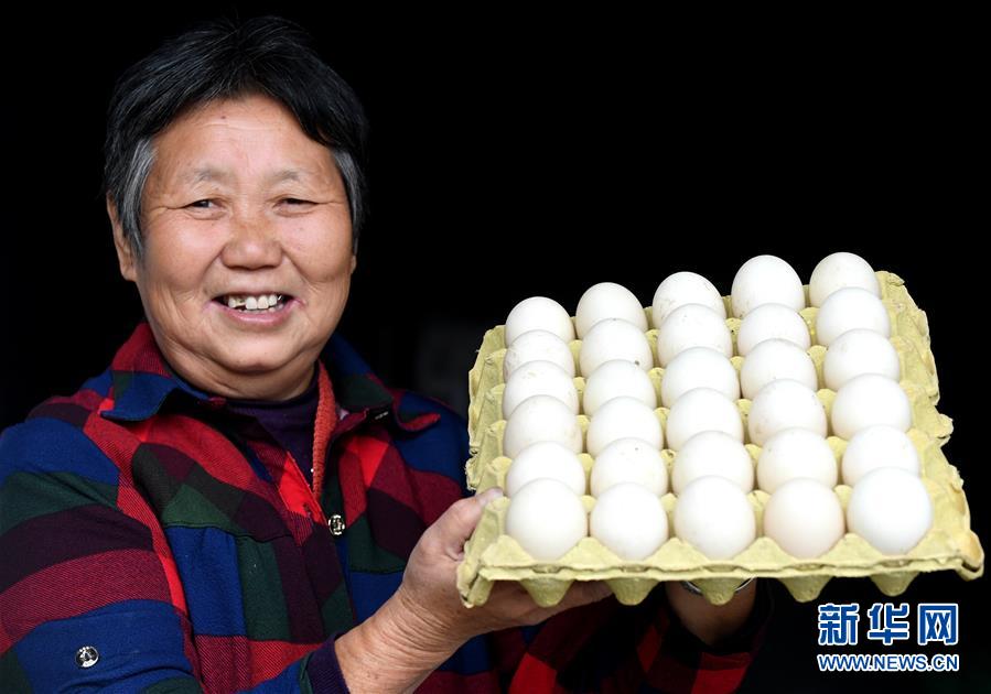 (決戰(zhàn)決勝脫貧攻堅(jiān)·圖文互動)(3)17代人追逐的夢想實(shí)現(xiàn)了——記冀南平原劉秋口村變遷